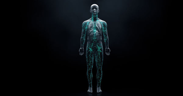 Can EMF Affect Your Immune System?