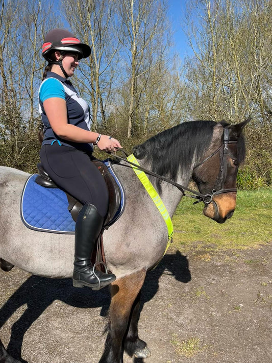 AV Edge Partners with Spring Valley Stables for Equestrian Fun