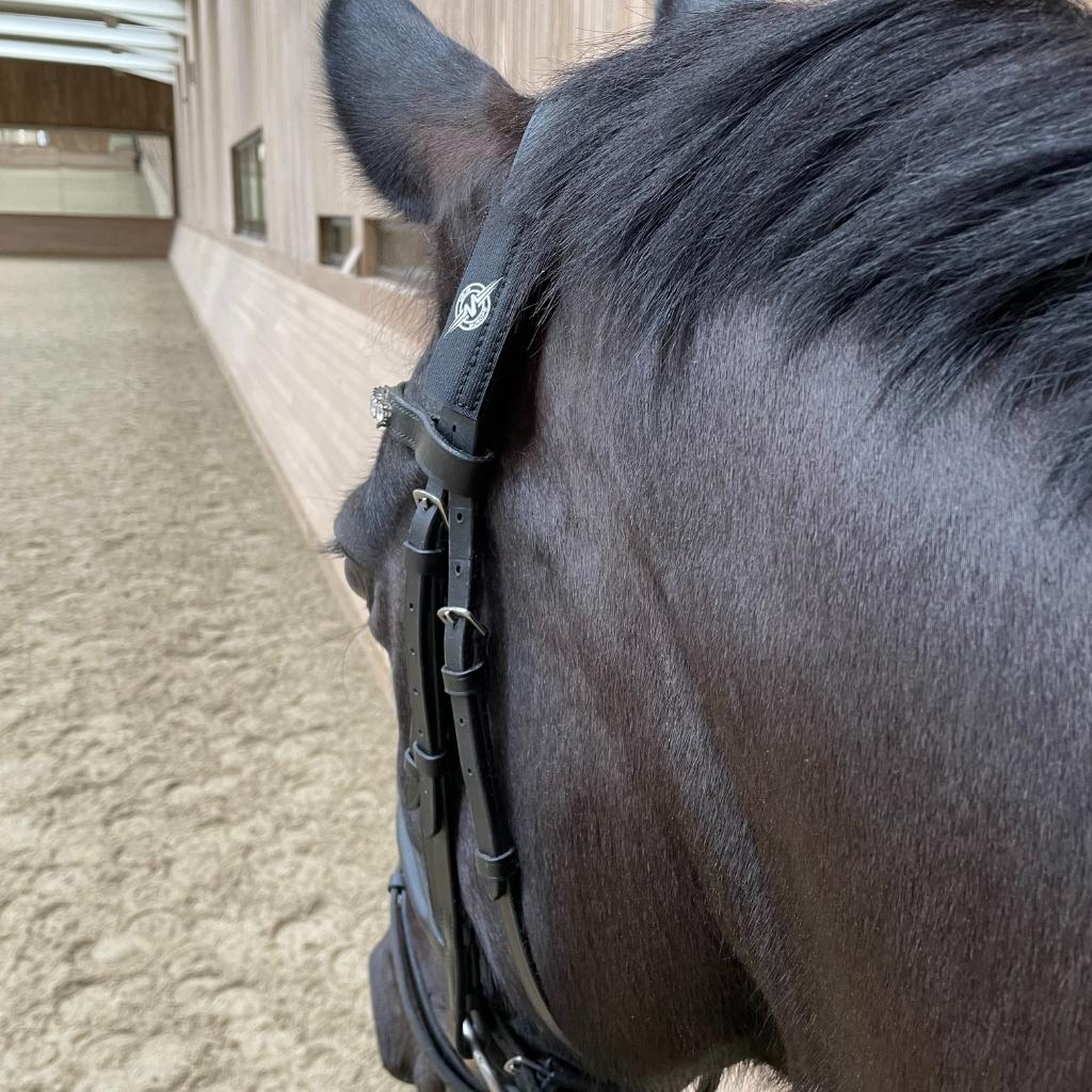 MOJO Classic Horse Patches (Pair) with EF Technology