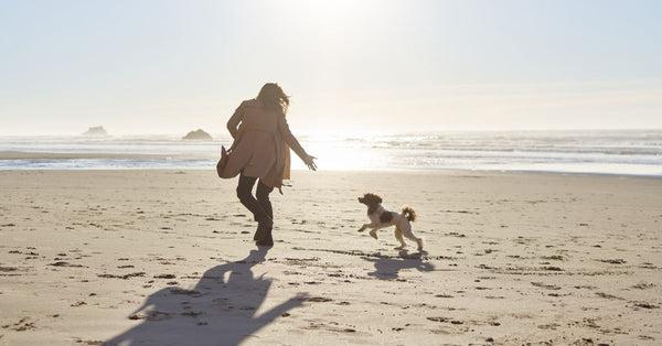 The Dog Patch Owners Swear By for Pain, Anxiety & Wellbeing