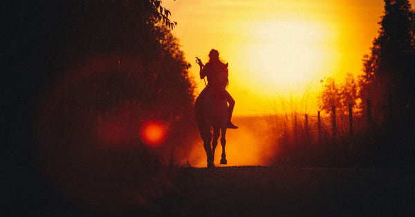 What Are EMFs and Why Should Horse Owners Care?