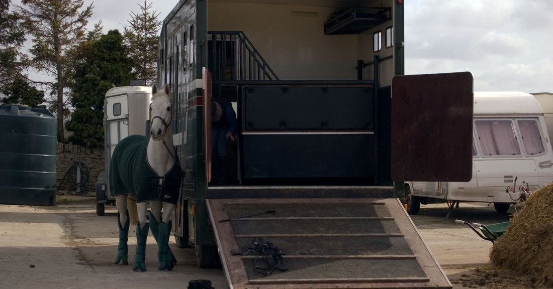 Horse Travel Stress: Prepare for a Calmer Journey