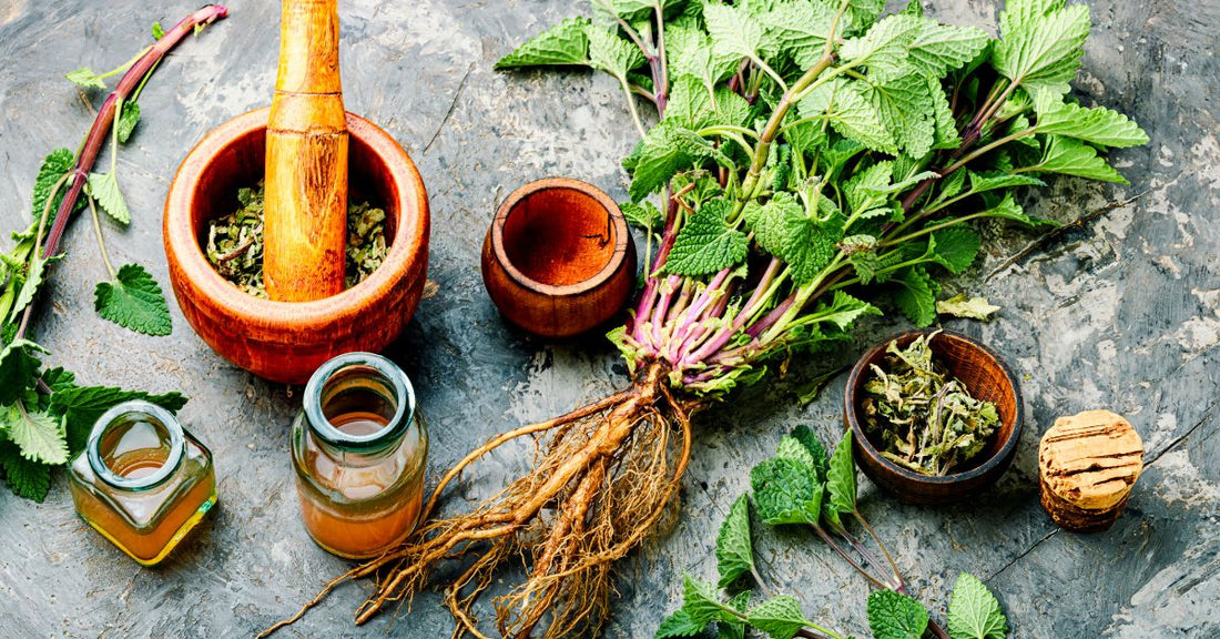 The Top Herbal Remedies for Vertigo Relief