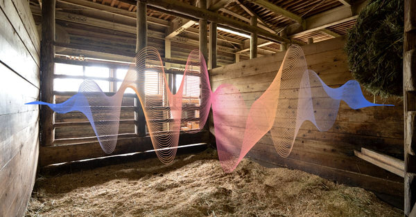 Is Your Stable an EMF Hotspot for Horses? 4G, 5G and WiFi