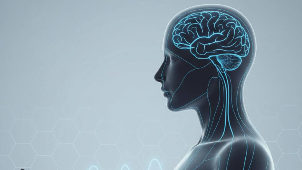 A conceptual scientific illustration of human bio-electrical signaling and grounding frequencies for natural vertigo support