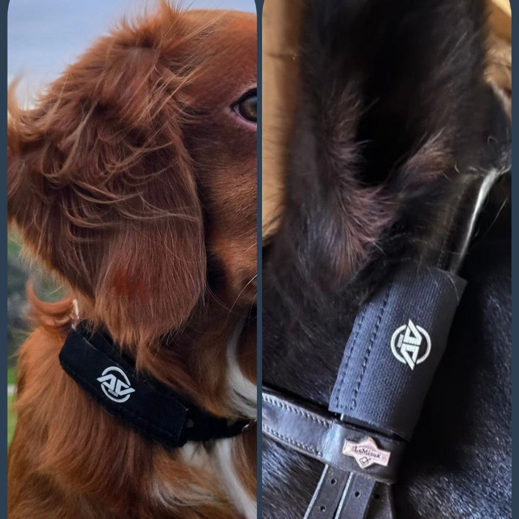 Animal Mobility & Vitality | Frequency Technology for Dogs and Horses