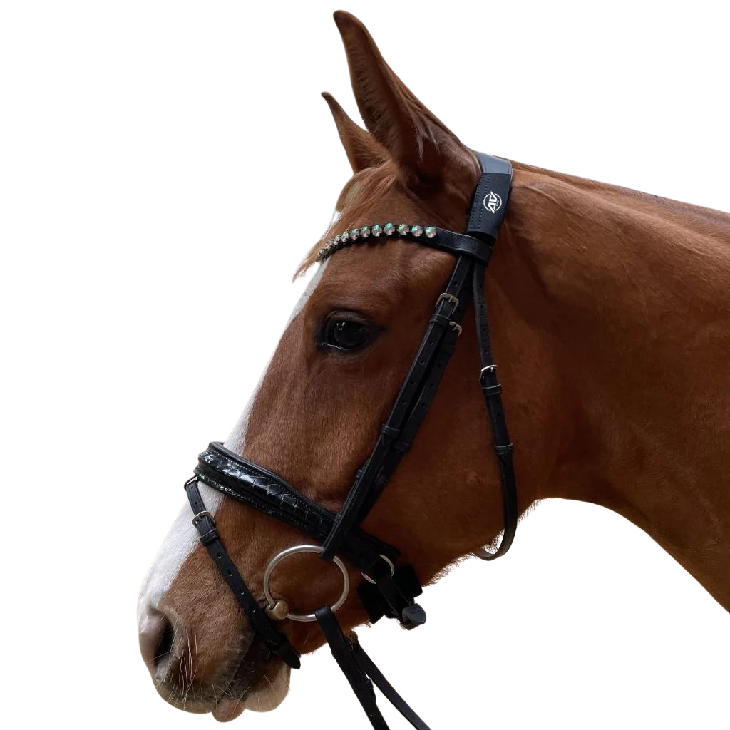 Brown horse wearing a pair of black AV Edge Horse Collar/Bridle Patches with EF technology (frequencies, not magnets) that may protect against modern technology EMFs by stimulating the production of adenosine triphosphate (ATP) to help improve health and performance.