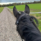AV Edge Horse Bridle Patch placed above the browband during a hack, demonstrating use for horse focus and balance.