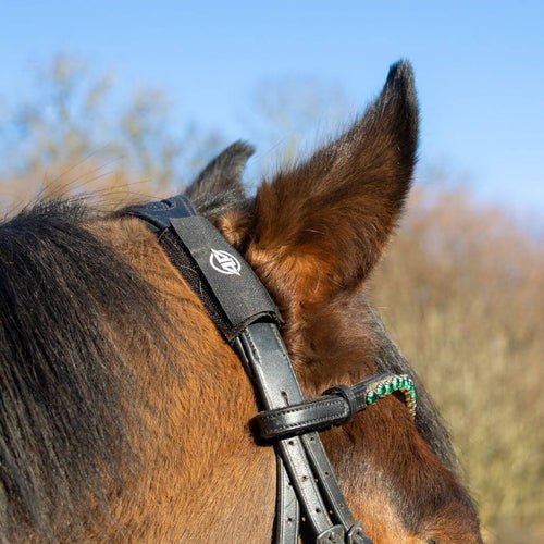 Profile shot of a bay horse wearing a leather bridle with a black AV Edge Horse Bridle Patch secured to the headpiece near the ear. Demonstrates how EF Technology may provide natural calming, poll pressure relief, and trigeminal nerve support to help with horse spooking, focus, and headshaking during riding.