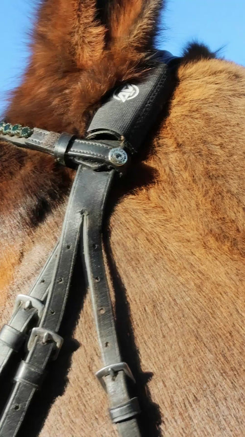 Vicki Hoban equestrian horse bridle with AV Edge horse bridle/collar patches in Black (with EF technology, frequencies, not magnets, that may protect against modern technology EMFs and improve health and performance by stimulating the production of adenosine triphosphate/ATP)
