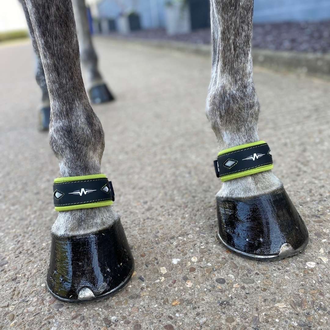 MOJO Deluxe Horse Pastern Wraps Balance Energy Protection AV EDGE