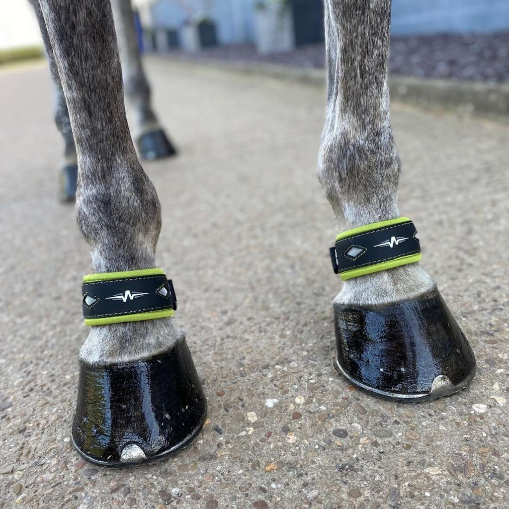 MOJO Deluxe Horse Pastern Wraps (Pair) with EF Technology